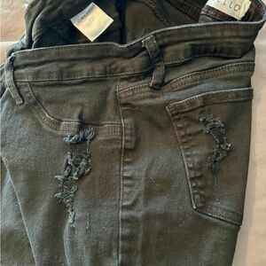 Cello Black Denim Pants